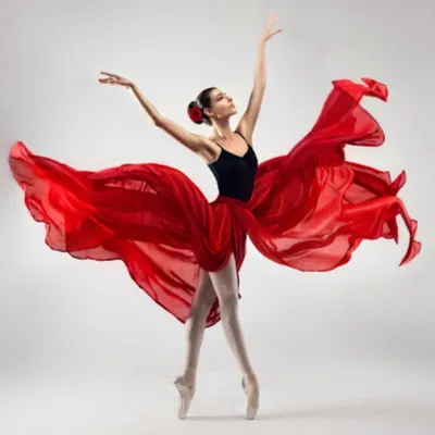 Dance Conservatory of Sarasota logo