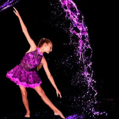 Dance Dynasty llc logo