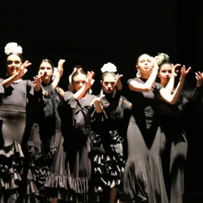 Escuela Flamenca Gabriela Fonseca Miami logo