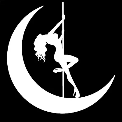 Studio Nightshade Pole Dance logo