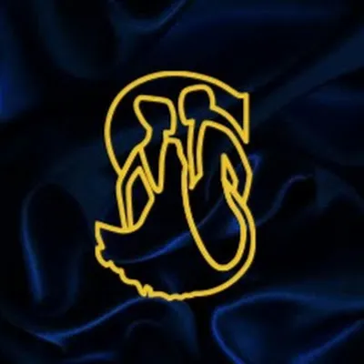 S Style Dance Team logo