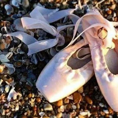 Shell We Dance Academy LLC. logo
