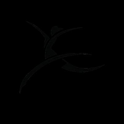 Tampa City Ballet Dance School logo