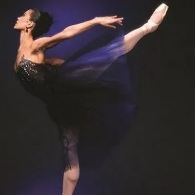 Gulfshore Ballet logo